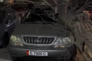 strong-wind-in-bishkek-mayors-office-reports-on-damage-to-infrastructure-d56b684