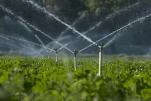 uzbekistan-secures-major-ebrd-funding-for-irrigation-system-upgrades-172adc2