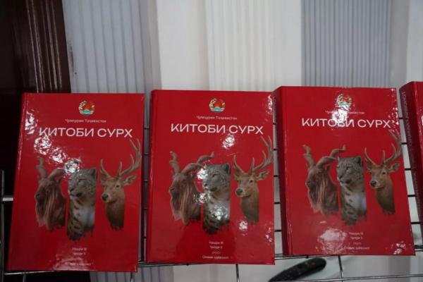 31274file.webp