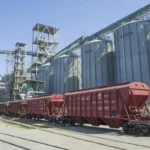 Экспорт казахстанского зерна вырос на 60% с начала сезона
